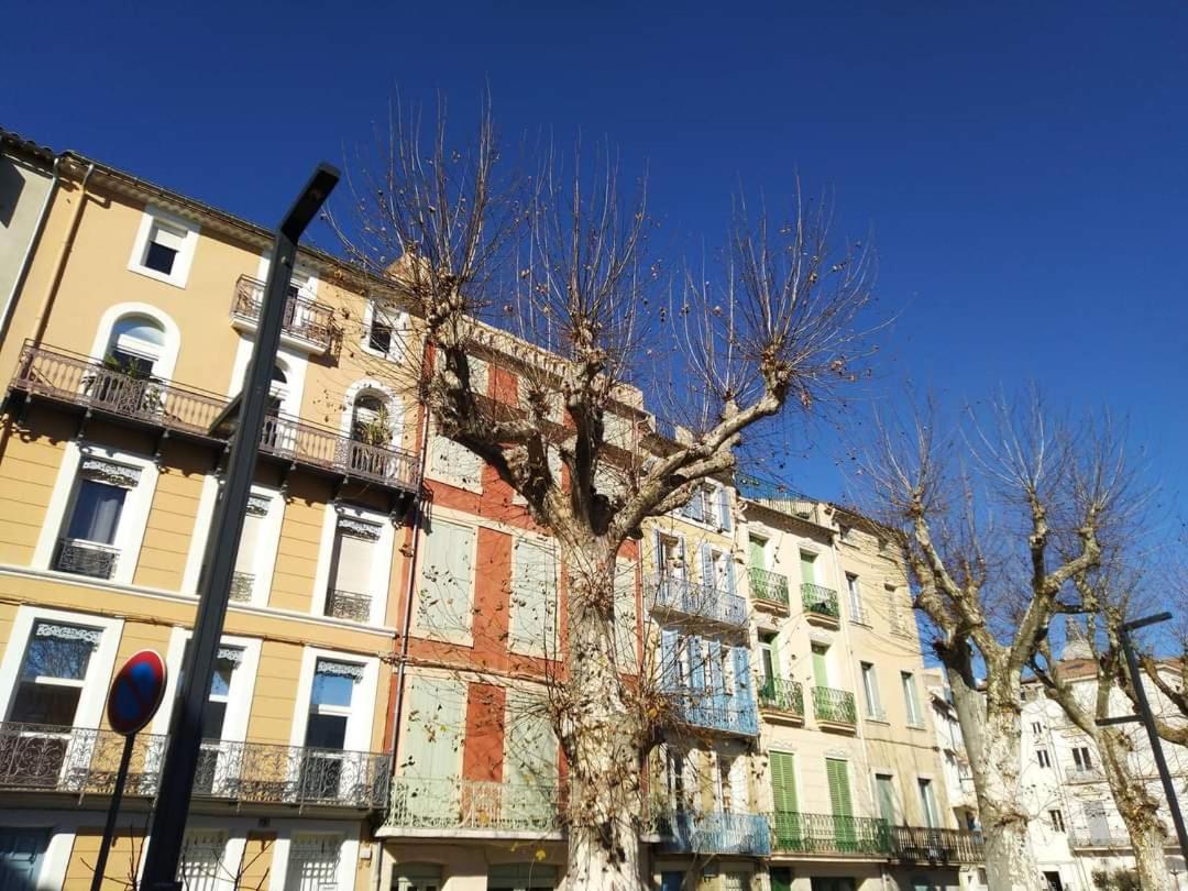 Entre Ville Et Canal, Calme Et Central - Gare A 700 M Narbonne Luaran gambar